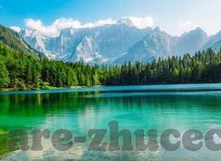 查看各类足球实时比分-足球迷必备！全方位解析如何高效查看各类足球实时比分