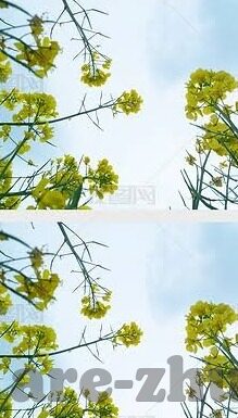 威尼斯人赌场在哪-威尼斯人度假村，一个娱乐与奢华的交汇点