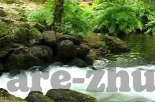 足球直播比分视频-足球直播比分视频，绿茵激情的实时传递者